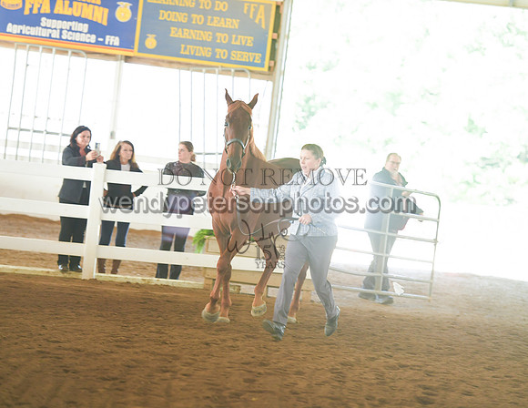 075_2242-Do_not_copy_PROOF