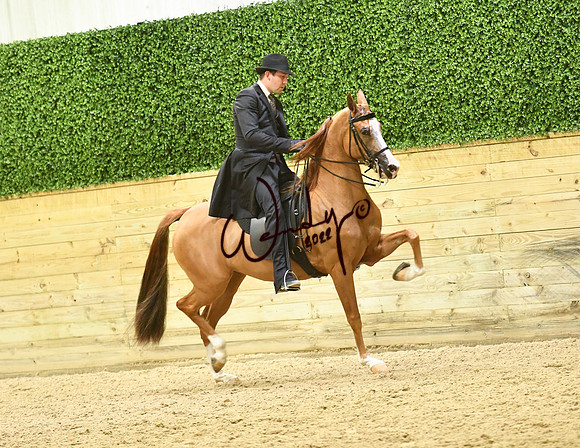 139_9577-Do_not_copy_PROOF
