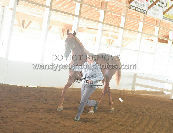 072_2212-Do_not_copy_PROOF