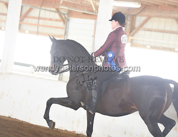 002_1546-Do_not_copy_PROOF