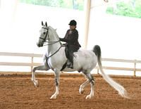 86. ASB Hunter Country Pleasure, Adult Am./Jr. Exh. Champ.