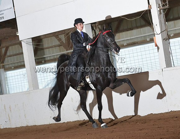 120_2656-Do_not_copy_PROOF