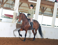 062 Morgan Hunter Pleasure Open Stake