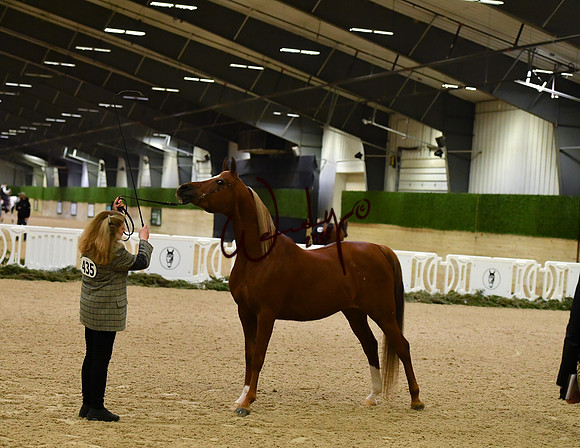 002_6271-Do_not_copy_PROOF