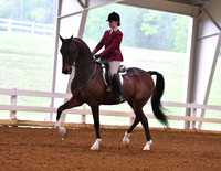 45. Saddle & Bridle’s ASB Hunter Seat Classic, Adult Am./Jr. Exh.