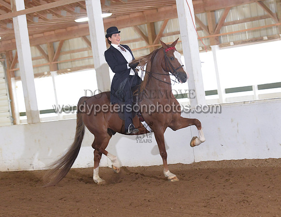 032_2085-Do_not_copy_PROOF