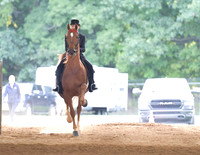 035 ASB Three Gaited Park FMT Amateur Junior Exhibiitor