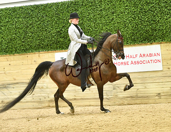 139_9576-Do_not_copy_PROOF