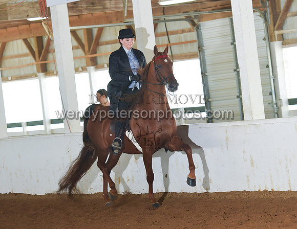066_2389-Do_not_copy_PROOF