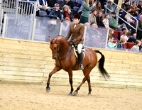 66 HA/AA Hunter Pleasure ATR Select Rider