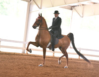 34. ASB Three-Gaited Park Pleasure, Junior/Limit Horse Stake