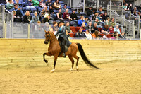 78 PB Country English Pleasure ATR Select Rider