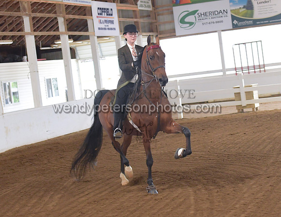 029_2013-Do_not_copy_PROOF