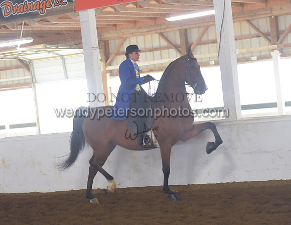 010_1787-Do_not_copy_PROOF