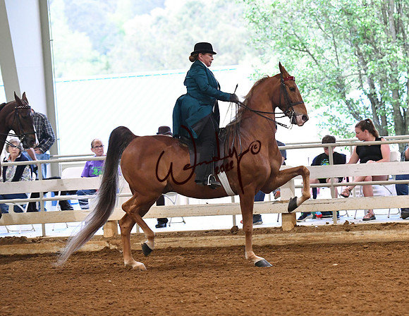 097_2133-Do_not_copy_PROOF