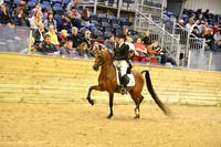 86 PB English Show Hack Open