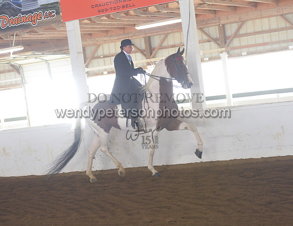 007_1683-Do_not_copy_PROOF