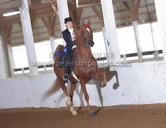 035_2133-Do_not_copy_PROOF
