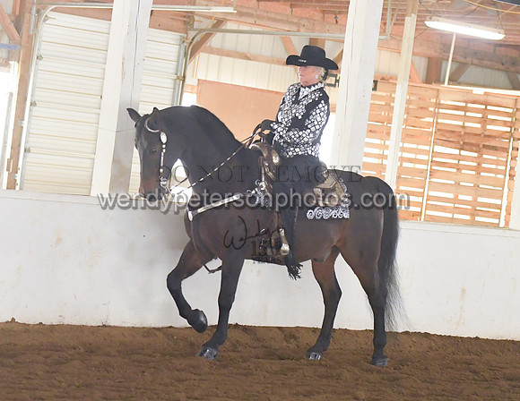 004_1554-Do_not_copy_PROOF