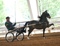 4. Single Roadster Pony to Bike, Open