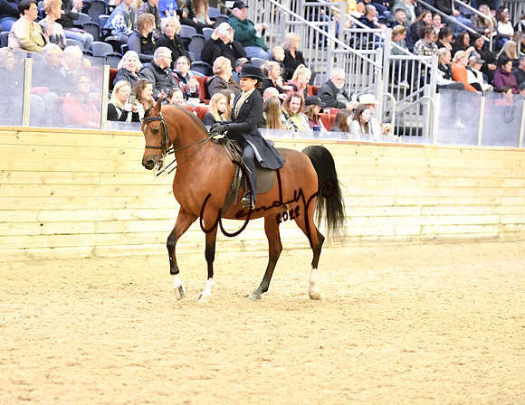 016_6602-Do_not_copy_PROOF
