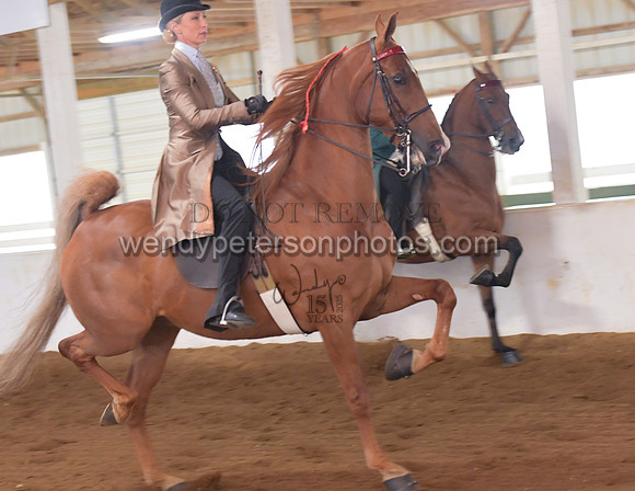 032_2090-Do_not_copy_PROOF