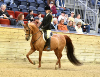 121 AHA Hunter Seat Not to Jump Medal JTR