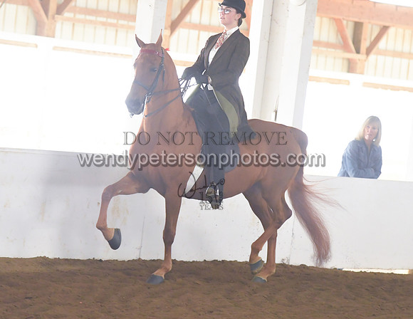 005_1594-Do_not_copy_PROOF