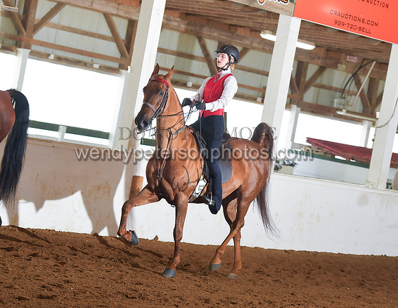 084_2529-Do_not_copy_PROOF