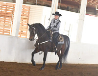 004 Morgan Western Pleasure Open