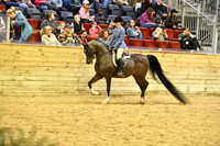 116 PB Hunter Pleasure JOTR