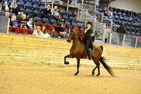101 UPHA All Breed Challenge Cup JTR 17 & Under