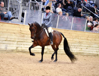 33 HA/AA Hunter Pleasure AAOTR