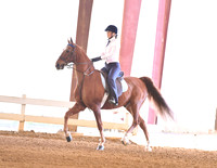 63. Academy Equitation W/T/C, Adult Am
