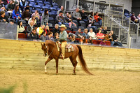88 HA/AA Western Pleasure Open
