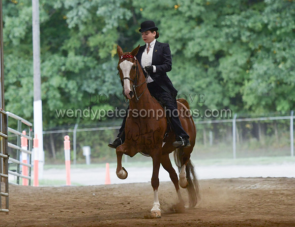 107_2675-Do_not_copy_PROOF