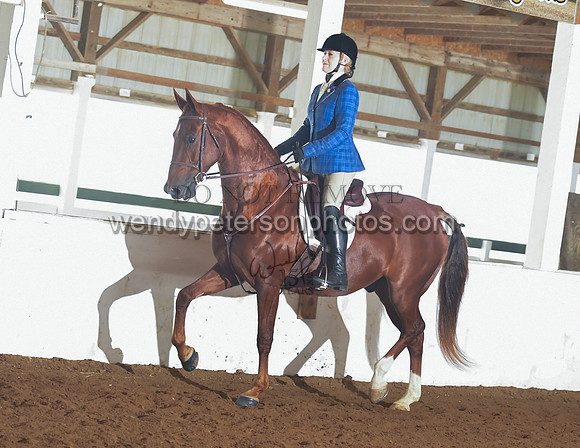 051_2323-Do_not_copy_PROOF