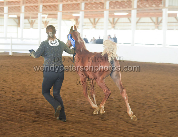 075_2274-Do_not_copy_PROOF