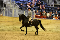 83 HA/AA Hunter Pleasure Ladies & Gents