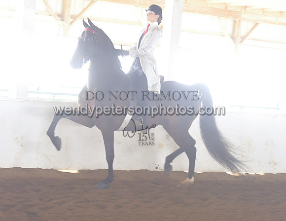 007_1658-Do_not_copy_PROOF