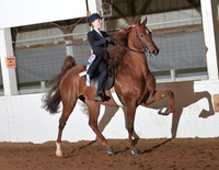 126 ASB Five Gaited Open Stake