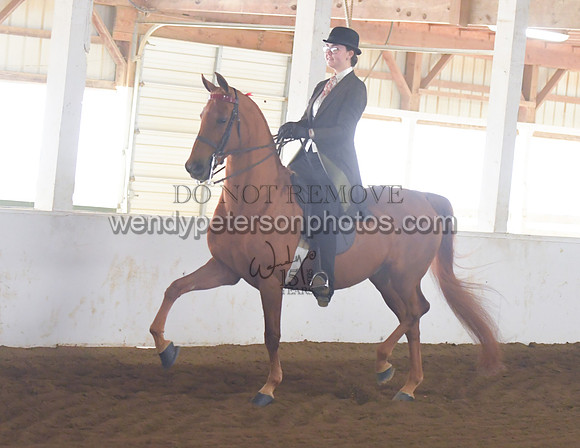 005_1586-Do_not_copy_PROOF