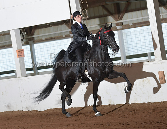 120_2655-Do_not_copy_PROOF