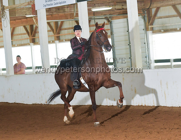 066_2384-Do_not_copy_PROOF