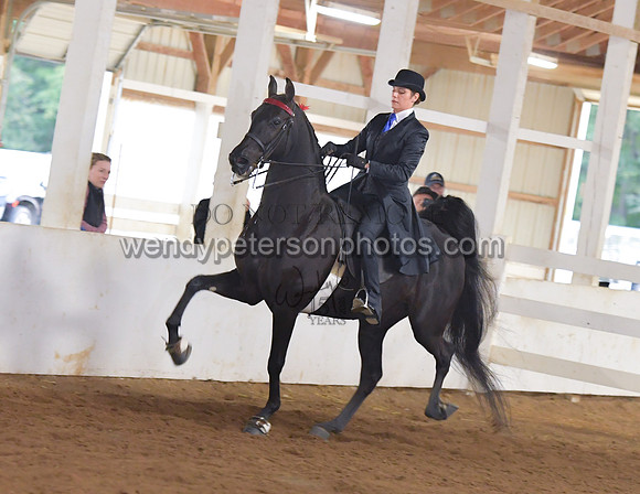 046_2153-Do_not_copy_PROOF