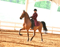 92. Pleasure Racking, ASB Type