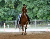 107 ASB Three Gaited Show Pleasure Adult Stake