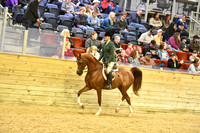 116 A PB Hunter Pleasure JOTR 15-18