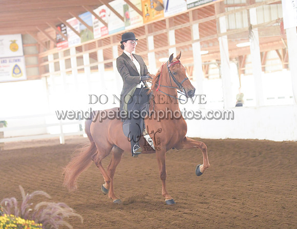 005_1596-Do_not_copy_PROOF
