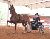33. ASB Country Pleasure Driving, Adult Am./Jr. Exh. Champ.